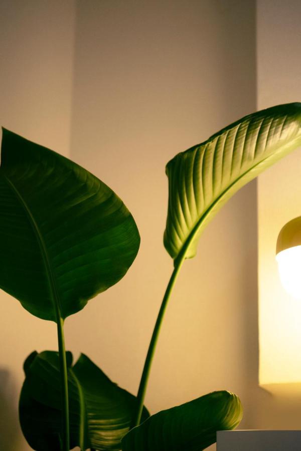 #9 3Mins To Station 1Stop To Shinjuku Stylish Apartment With Plenty Of Sunlight Tokió Kültér fotó